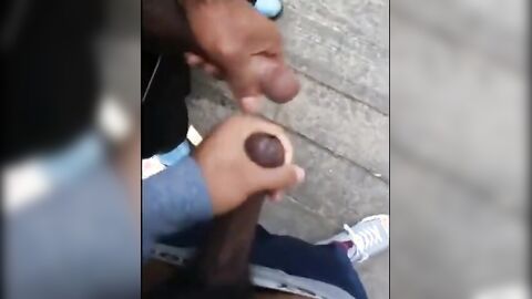 Black amateurs stroke big cocks outdoors