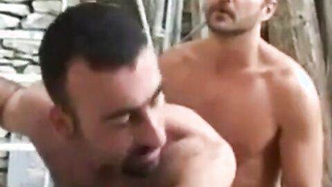 Bearded Frenchman Plows Arab Outdoors