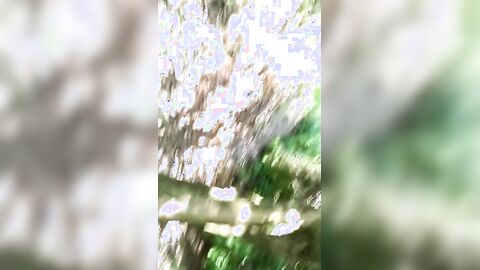 Old Man Sucks Young Cock Outdoors