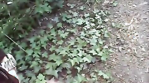 Grandpa Flashes His Cock Outdoors