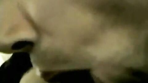 Big Cock Arab Amateur Achmed's Interracial Handjob