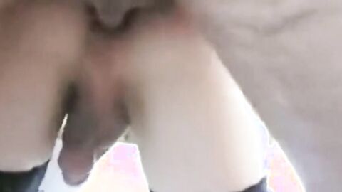Crossdresser on a Leash Takes it Hard