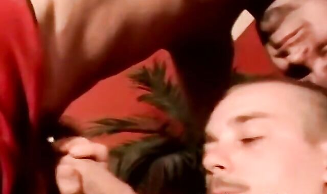 Young amateur barebacks his gay and swallows loads of cum