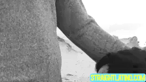 Horny dudes Felix and Duno spend horny time on the beach by fucking each other