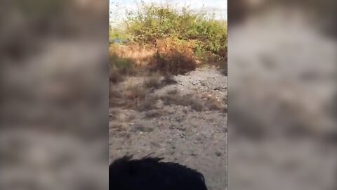 Sucking Dick on the Beach