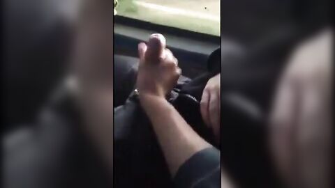 Big Dick Blowjob in a Bus