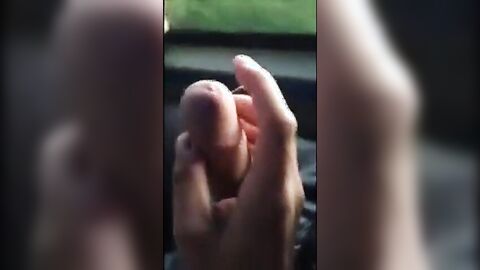 Big Dick Blowjob in a Bus