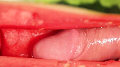 Muscular Stud Fucks and Cums on Watermelon