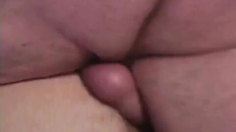 Fat Bears' Amateur Fuck Session