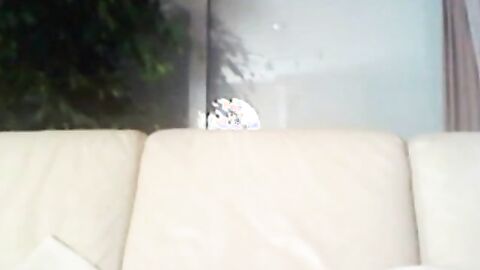 White Twink Breeds Chubby Black Guy. Homemade Bareback Video