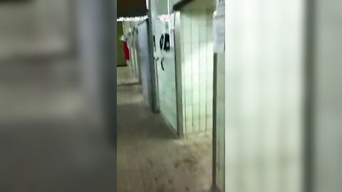 Public Shower Jerk Off With A Big Cock