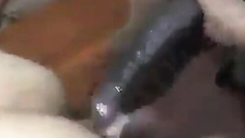 BBC black cock