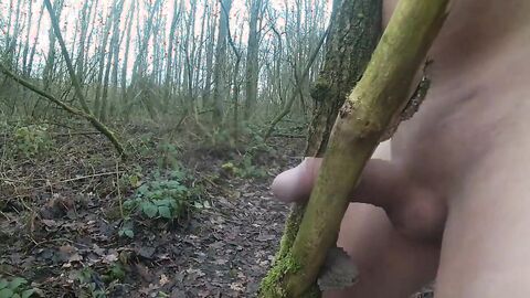 Forest Handjob