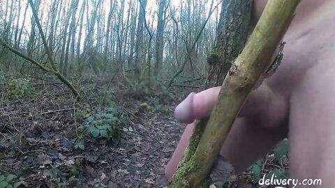 Forest Handjob
