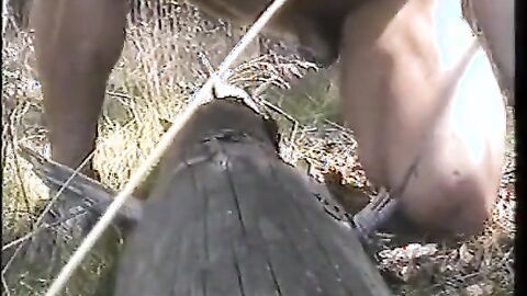 Outdoor Handjob Fun: Tree Trunk Humping Adventure