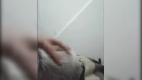 Grandpas Suck Off - Amateur Daddies