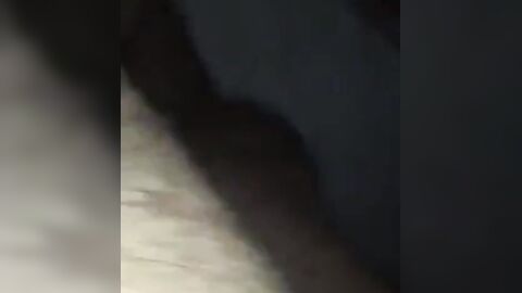 Fat Indian Gay Man Getting Bareback Fucked