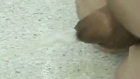 Japanese Outdoor Small Cock Fun