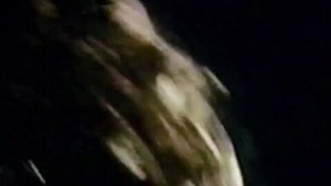 Bearded vintage homo strokes his dick then swallows an awesome cock