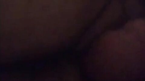 Amateur Bears Home Video