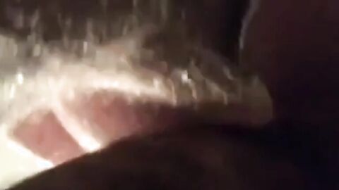 Amateur Bears Home Video