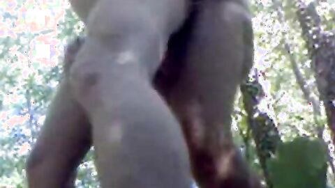 Bareback Daddy Outdoor Fuck