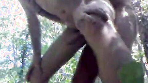 Bareback Daddy Outdoor Fuck