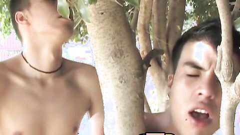 Skinny Latinos are sucking cocks and barebacking hard